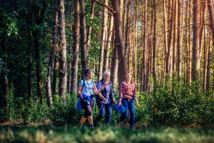 Waldbaden im Heilwald