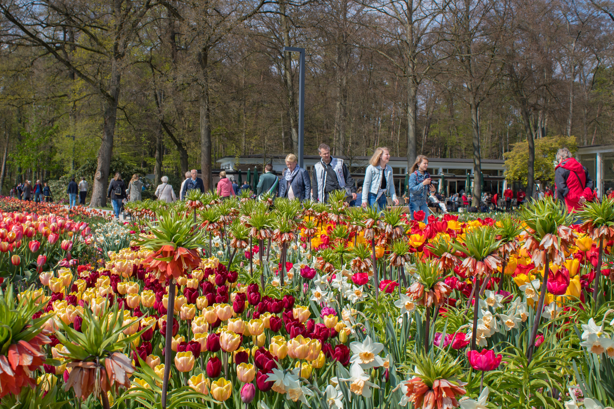 Gartenschau Bad Lippspringe